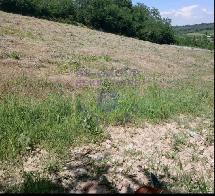 property-card-img-102055