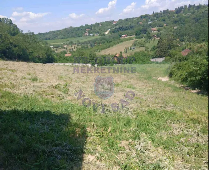 plac na prodaju Sremska Kamenica 914m2 576805