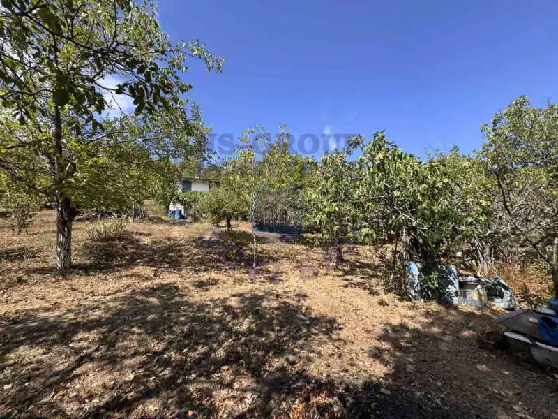 plac na prodaju Ledinci, 2583m2 576777