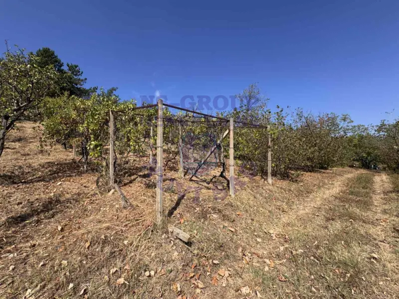 Plac na prodaju Ledinci 2583m2, 576777