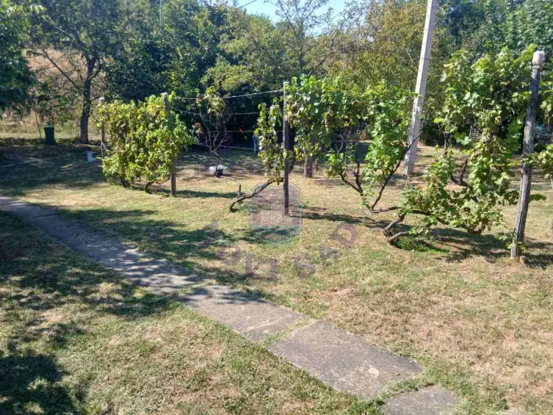 Kuća na prodaju Beočin 31m2, 576996