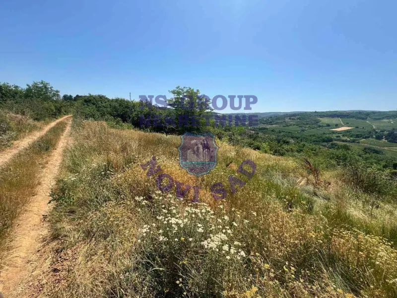 Plac na prodaju Sremski Karlovci 2383m2, 577098
