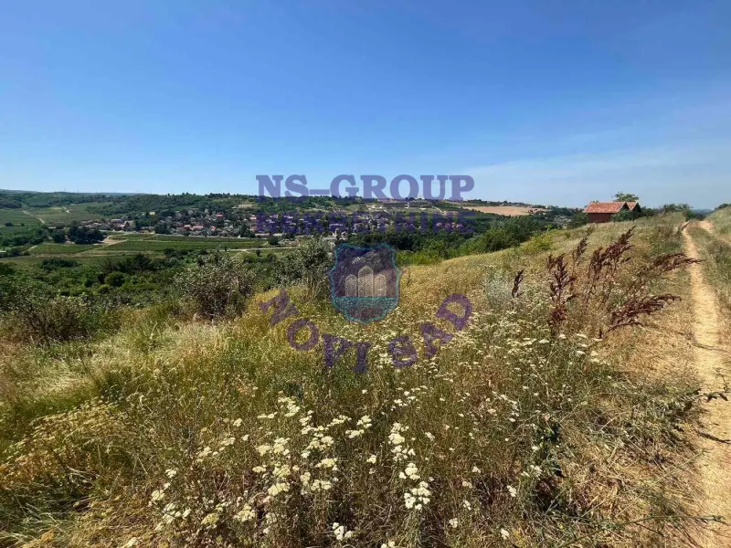Plac na prodaju Sremski Karlovci 2383m2, 577098