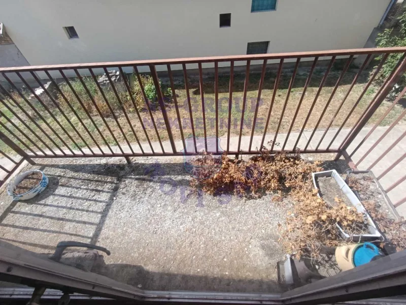 Kuća na prodaju Bački Petrovac 282m2, 577081