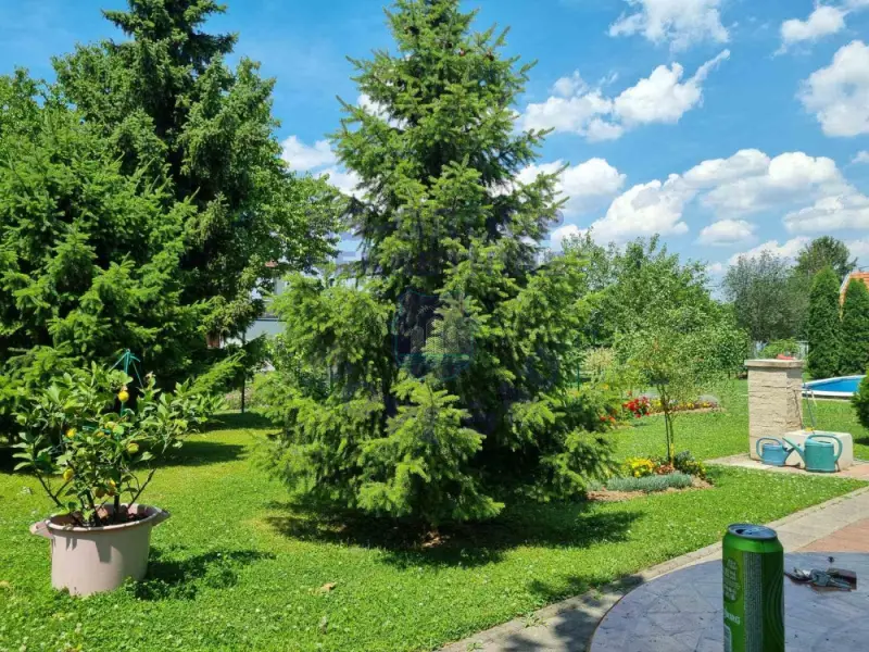 Kuća na prodaju Petrovaradin 86m2, 577055