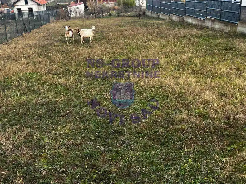 plac na prodaju Petrovaradin 584m2 577085