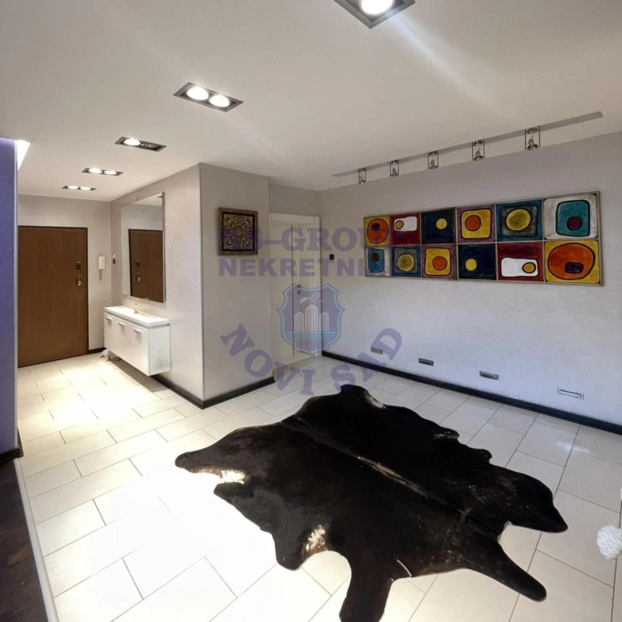Stan na prodaju Novi Sad 310m2, 17363