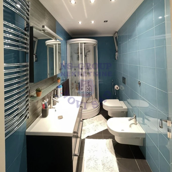 Stan na prodaju Novi Sad 310m2, 17363
