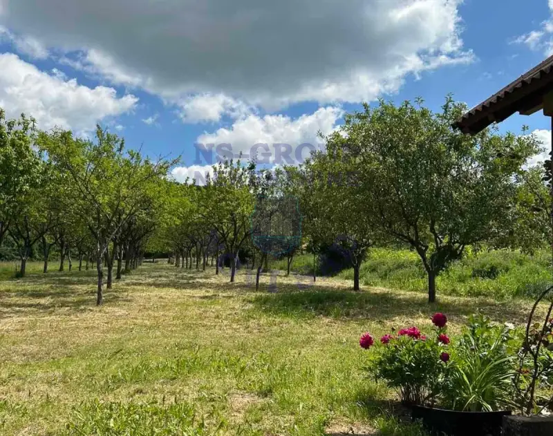 Plac na prodaju Rakovac 3642m2, 577245