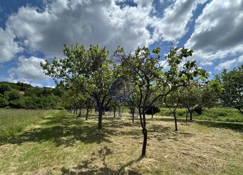 Plac na prodaju Rakovac 3642m2, 577245