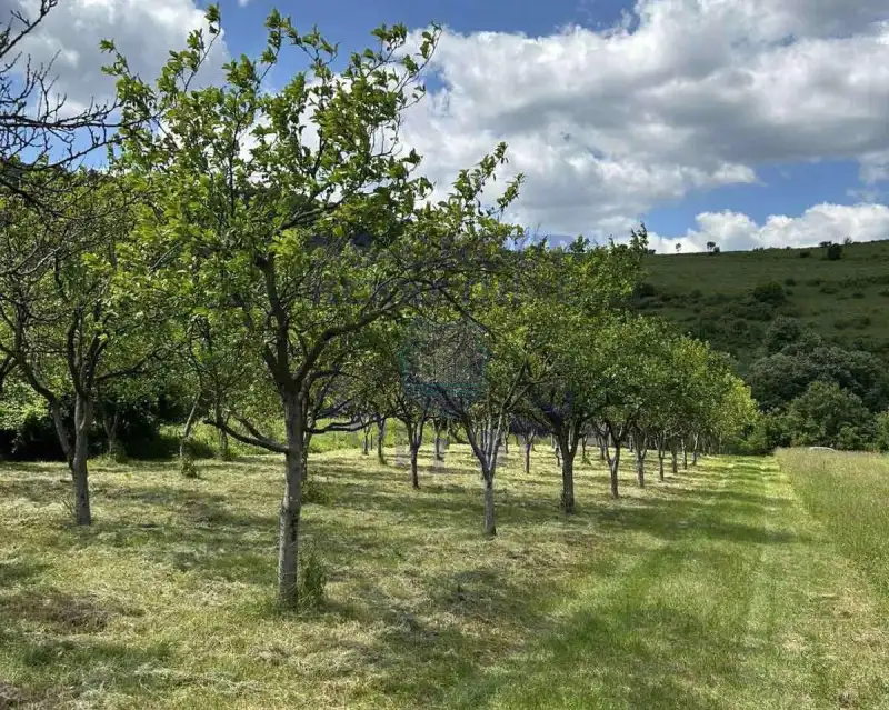 Plac na prodaju Rakovac 3642m2, 577245