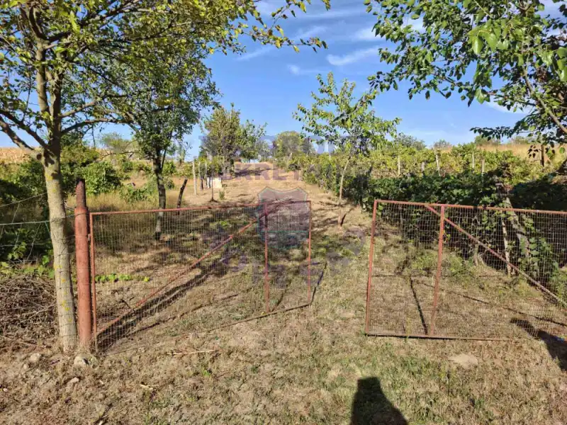 plac na prodaju Kovilj 3891m2 577280