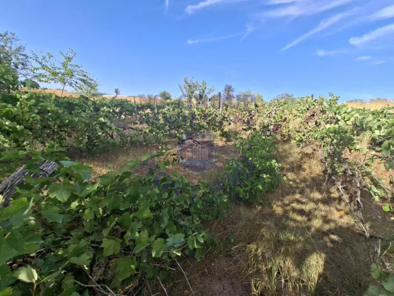 plac na prodaju Kovilj 3891m2 577280
