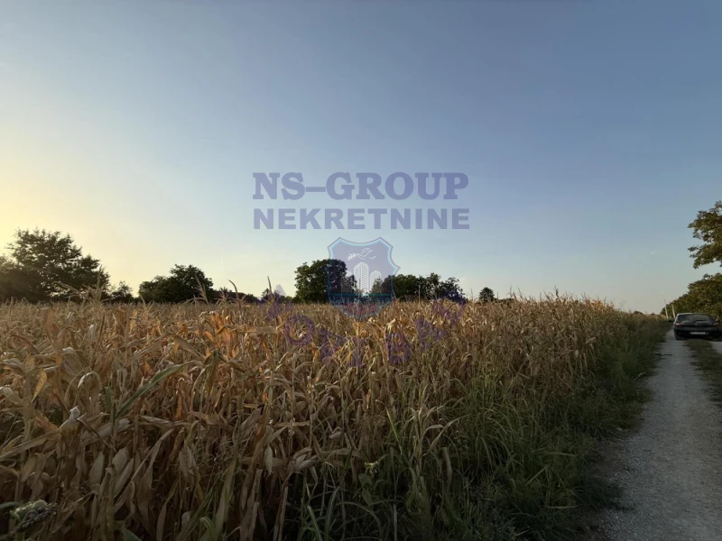 plac na prodaju Čortanovci 1553m2 577284