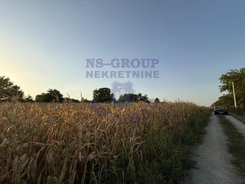 plac na prodaju Čortanovci 1553m2 577284