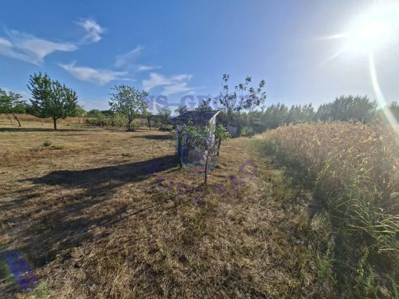 plac na prodaju Kovilj 3891m2 577280