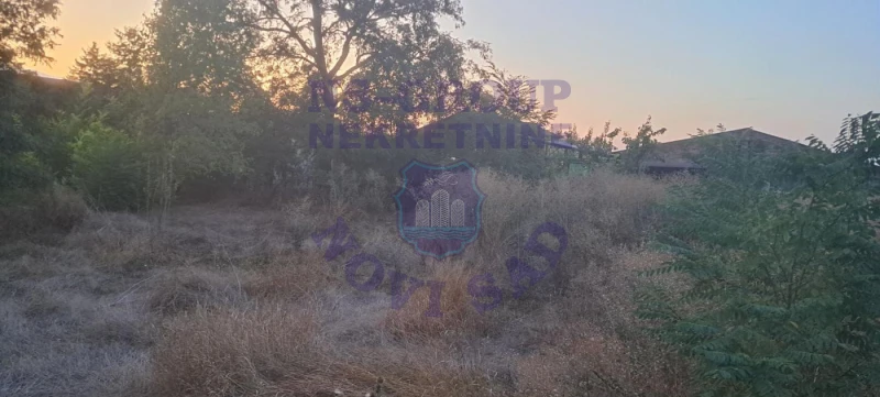 plac na prodaju Kisač 619m2 577301