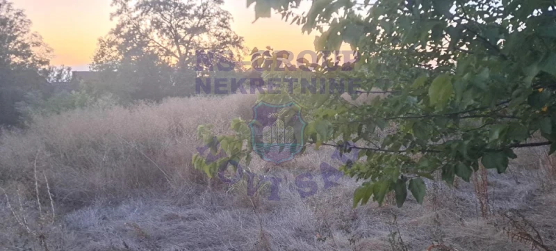 plac na prodaju Kisač 619m2 577301