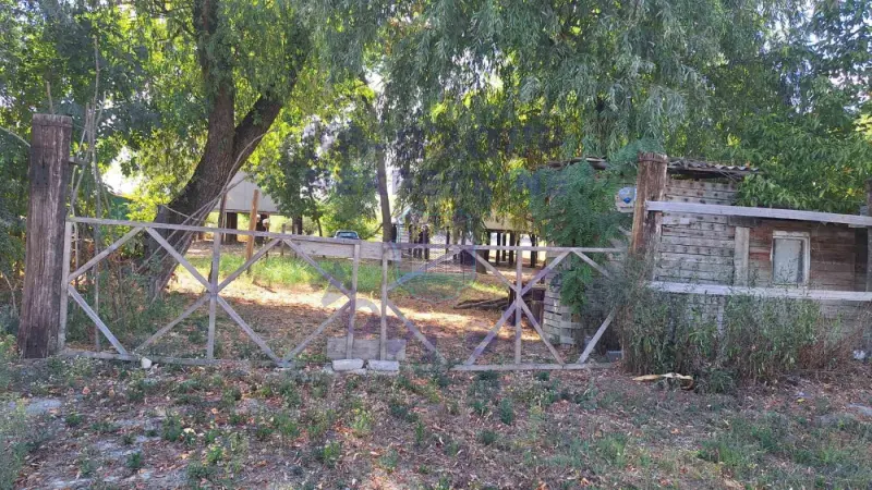 Kuća na prodaju Novi Sad 60m2, 577561