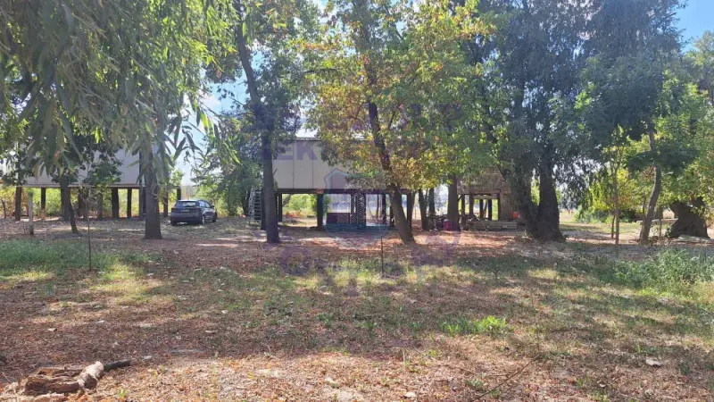 Kuća na prodaju Novi Sad 60m2, 577561