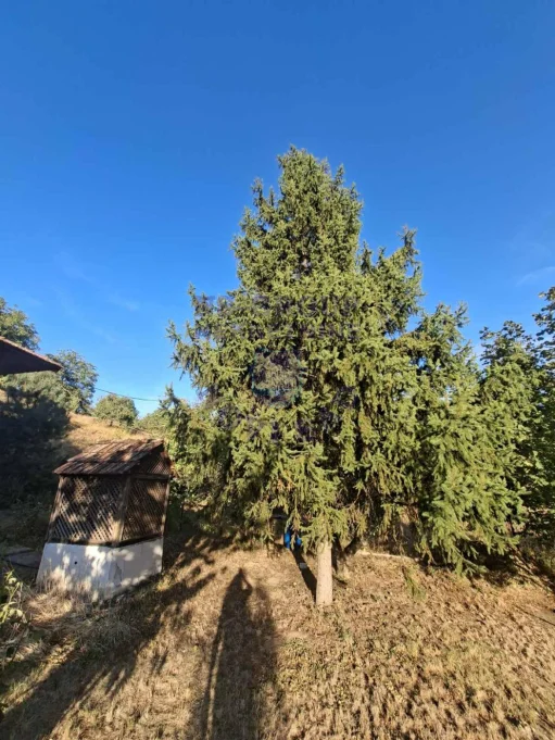 kuca na prodaju Čortanovci 48m2 577405