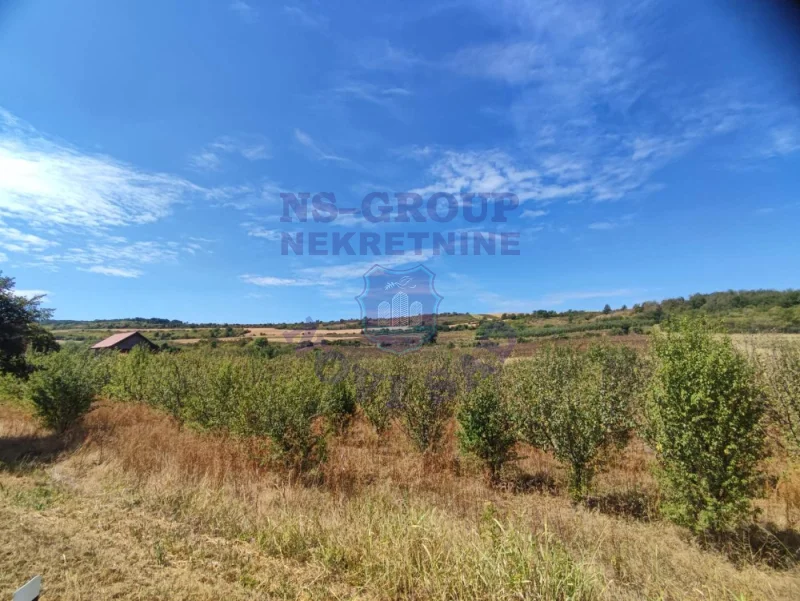 Plac na prodaju Beočin 4110m2, 576757