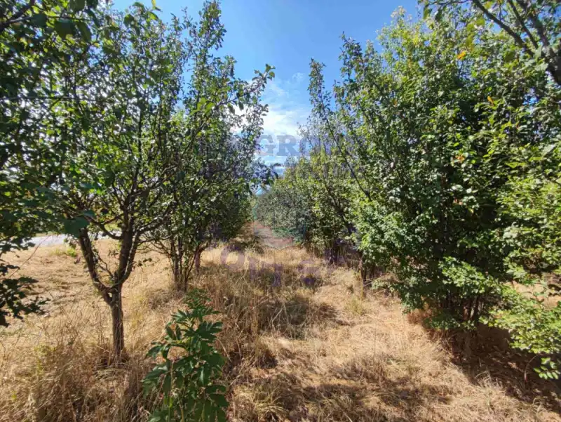 Plac na prodaju Beočin 4110m2, 576757