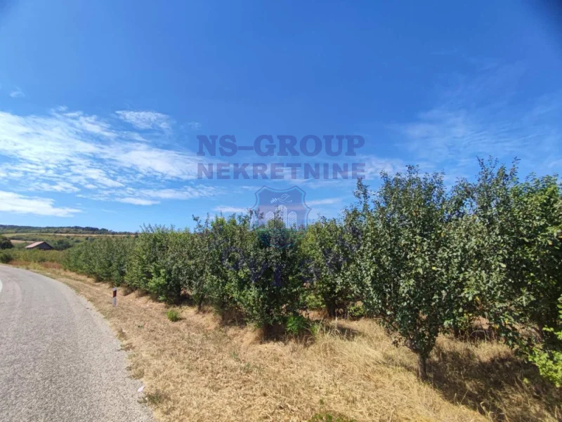 Plac na prodaju Beočin 4110m2, 576757