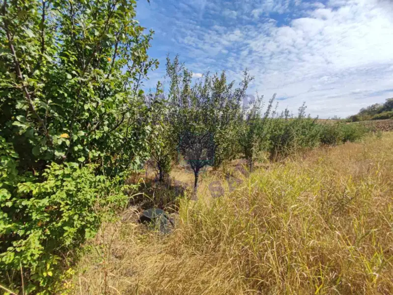 Plac na prodaju Beočin 4110m2, 576757