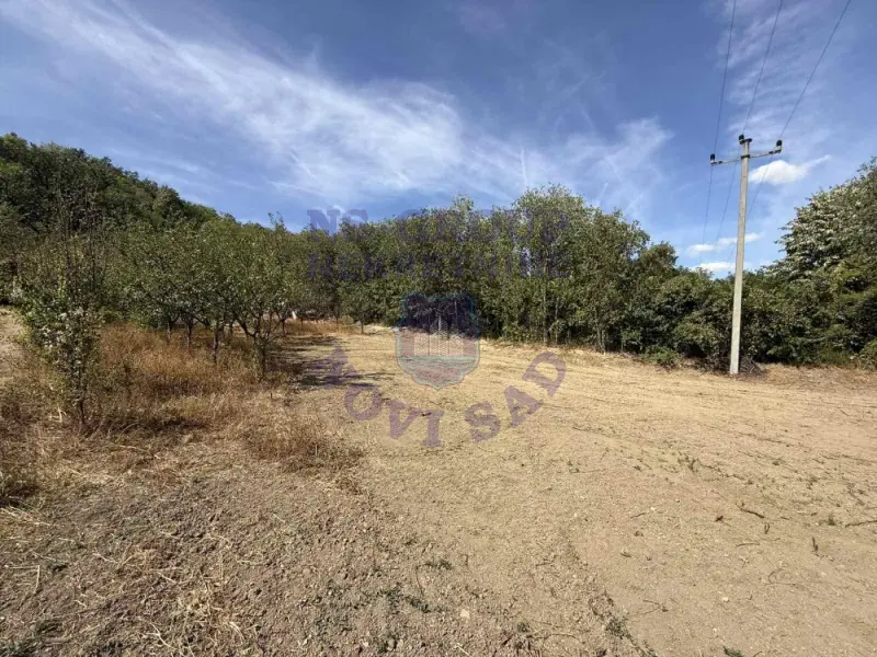 Plac na prodaju Ledinci 616m2, 577576