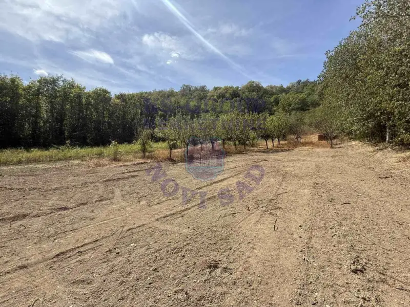 Plac na prodaju Ledinci 616m2, 577576