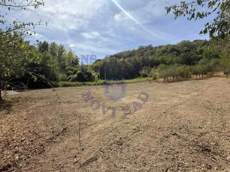 Plac na prodaju Ledinci 616m2, 577576