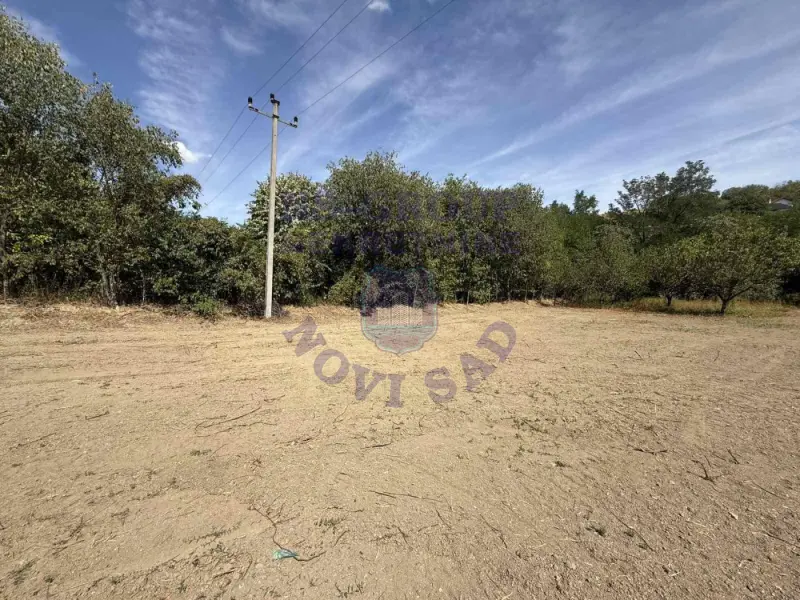 Plac na prodaju Ledinci 616m2, 577576