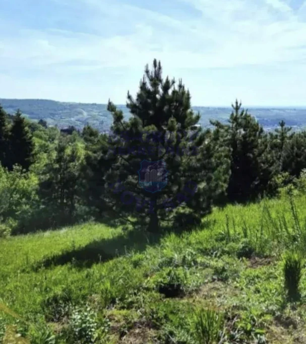 plac na prodaju Jazak, 1000m2 577606