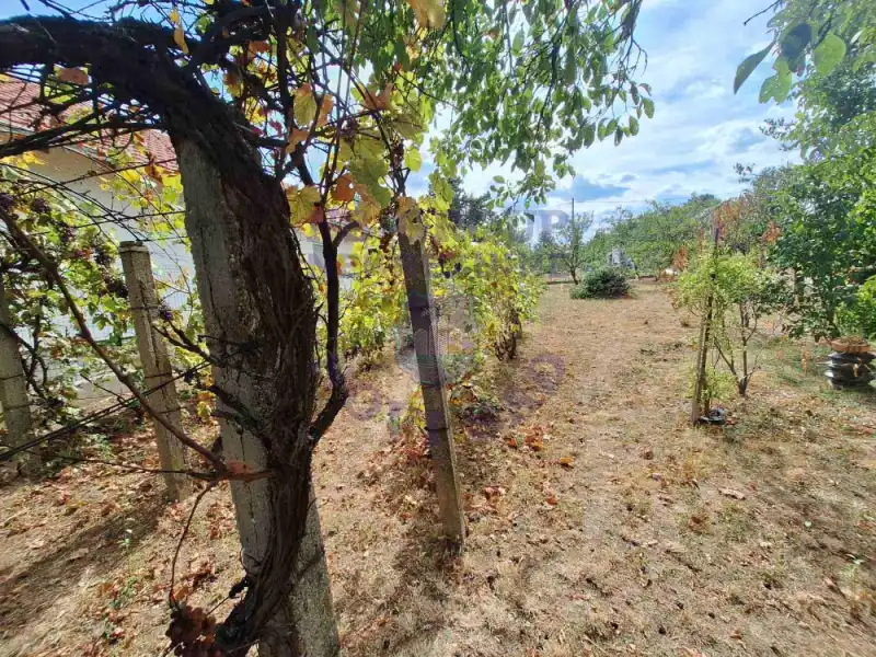 Kuća na prodaju Petrovaradin 62m2, 577570
