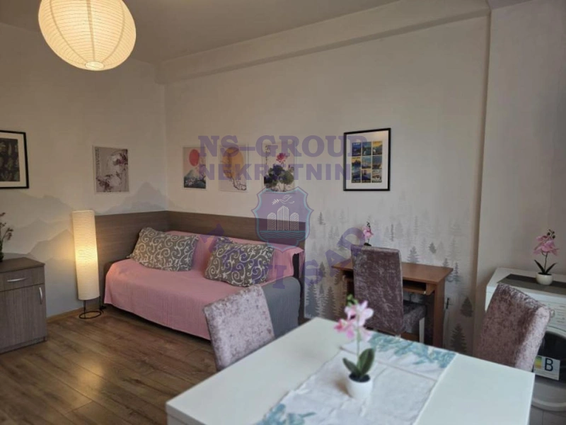Stan na prodaju Novi Sad 24m2, 577627