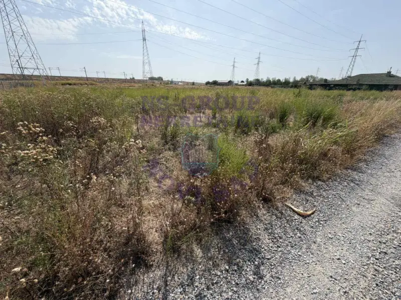 Plac na prodaju Rumenka 1000m2, 577626