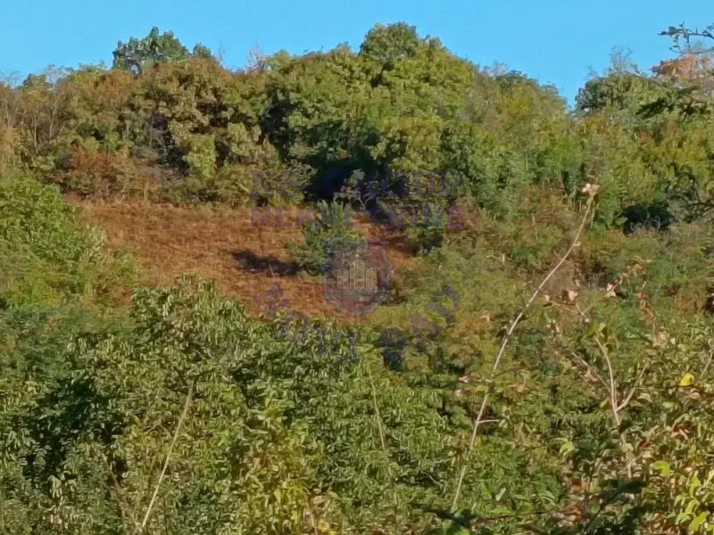 plac na prodaju Jazak, 4050m2 577489
