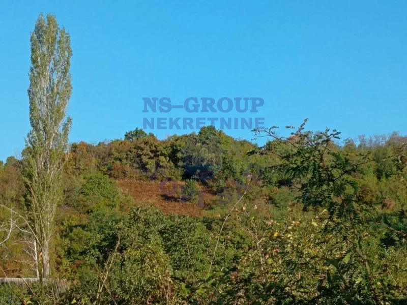 Plac na prodaju Jazak 4050m2, 577489