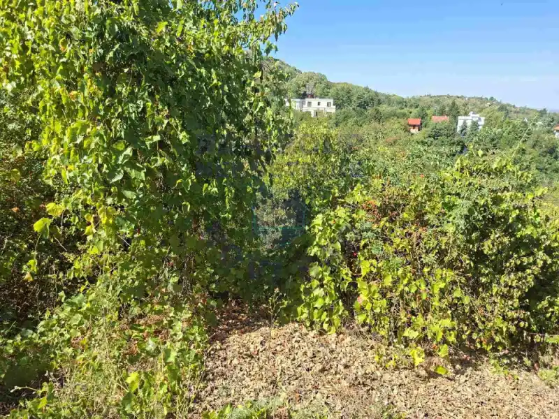 plac na prodaju Sremska Kamenica, 3820m2 577661
