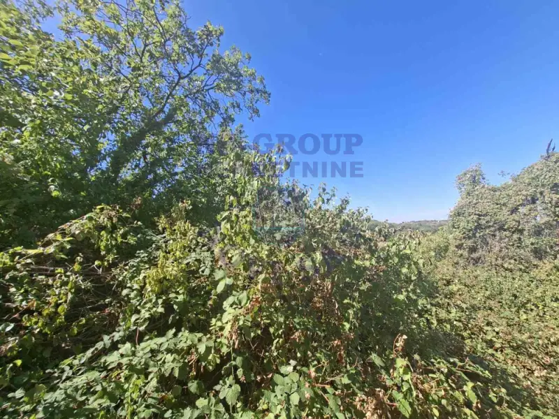 Plac na prodaju Sremska Kamenica 3820m2, 577661