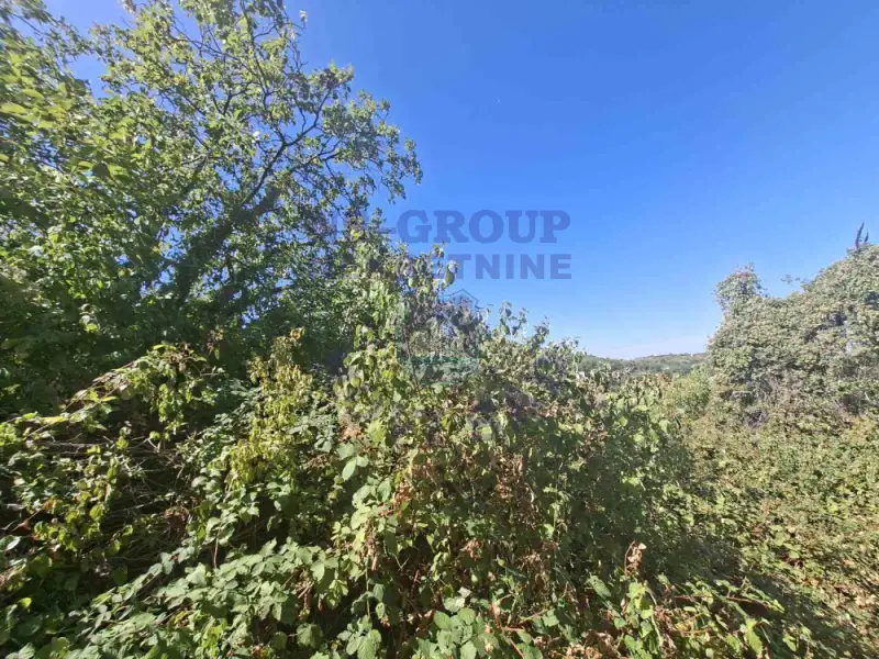 Plac na prodaju Sremska Kamenica 3820m2, 577661