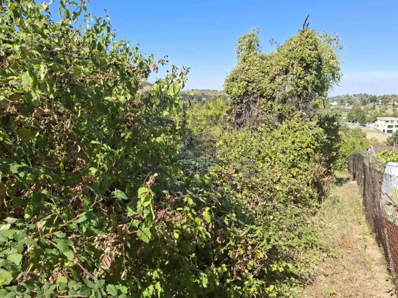 Plac na prodaju Sremska Kamenica 3820m2, 577661
