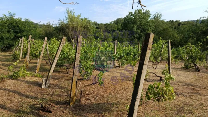 plac na prodaju Sremski Karlovci, 1656m2 577674