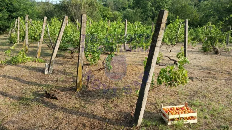 Plac na prodaju Sremski Karlovci 1656m2, 577674