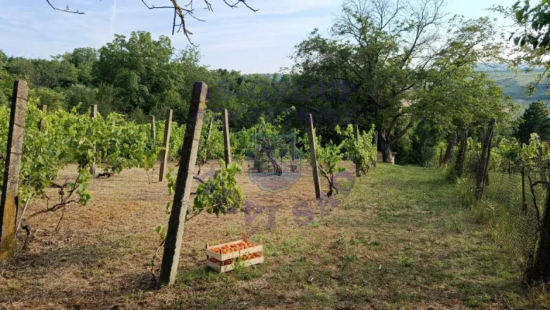 Plac na prodaju Sremski Karlovci 1656m2, 577674