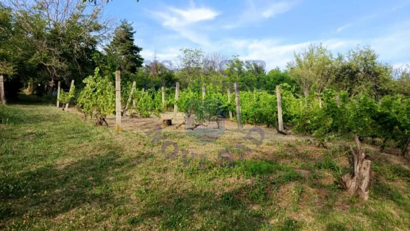 Plac na prodaju Sremski Karlovci 1656m2, 577674