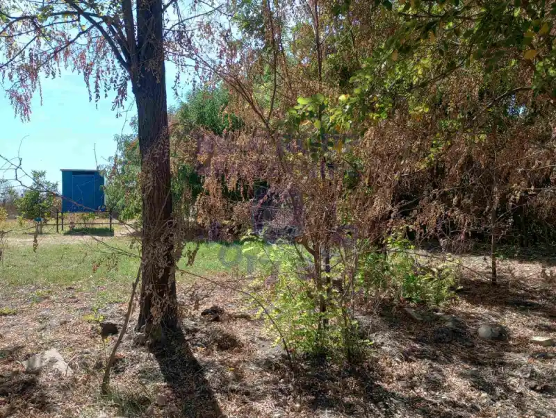 Plac na prodaju Veternik 549m2, 577443