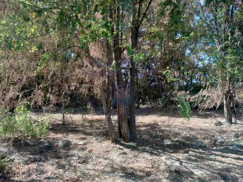 Plac na prodaju Veternik 549m2, 577443