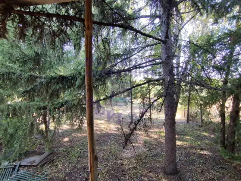 Kuća na prodaju Petrovaradin 59m2, 577494